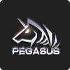 hengongbet pegasus